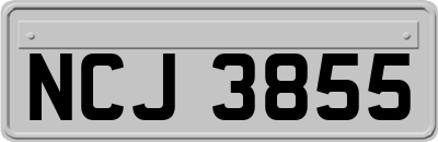 NCJ3855