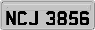 NCJ3856