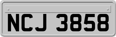 NCJ3858