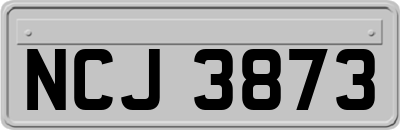 NCJ3873