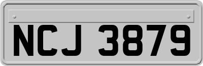 NCJ3879
