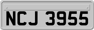 NCJ3955