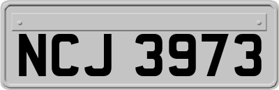 NCJ3973