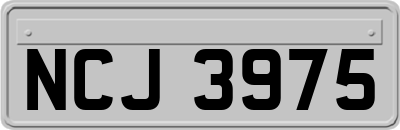 NCJ3975