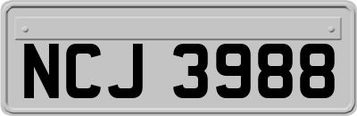 NCJ3988