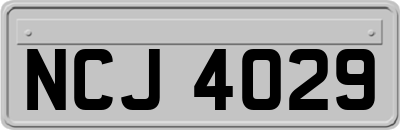 NCJ4029