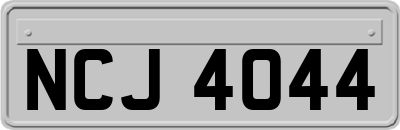 NCJ4044