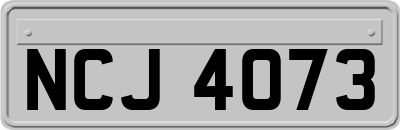 NCJ4073