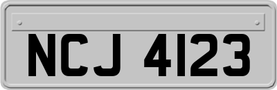 NCJ4123