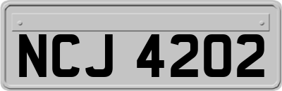 NCJ4202
