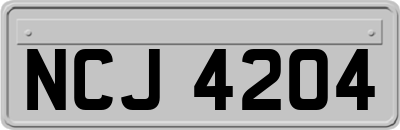 NCJ4204