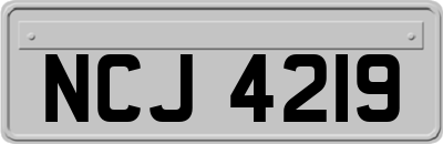 NCJ4219