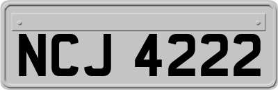 NCJ4222