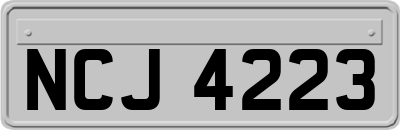 NCJ4223
