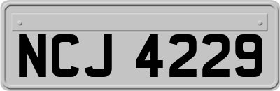 NCJ4229