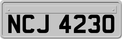 NCJ4230