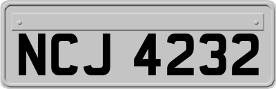 NCJ4232