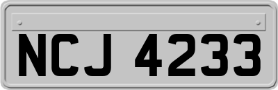 NCJ4233