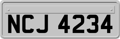 NCJ4234