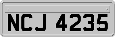 NCJ4235