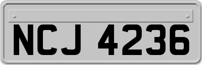 NCJ4236