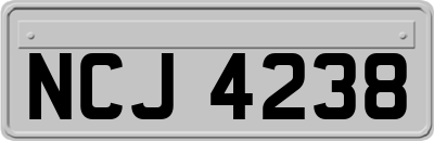 NCJ4238