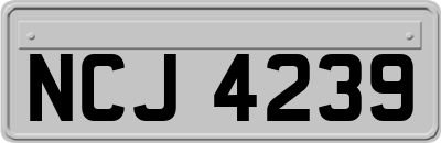 NCJ4239
