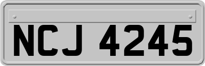 NCJ4245