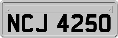 NCJ4250