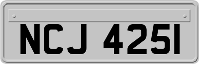 NCJ4251