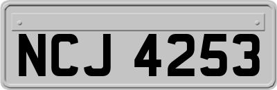 NCJ4253