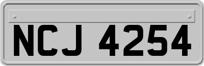 NCJ4254
