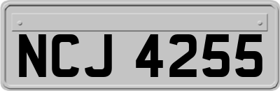 NCJ4255