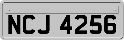 NCJ4256