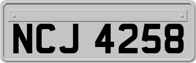 NCJ4258