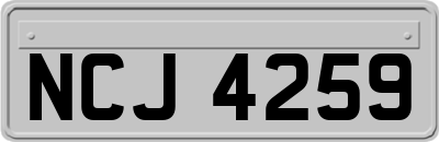 NCJ4259