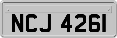 NCJ4261