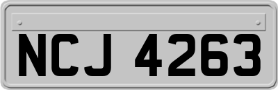 NCJ4263