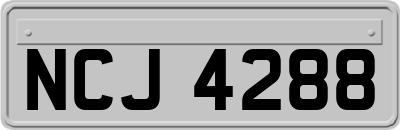 NCJ4288