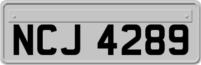 NCJ4289