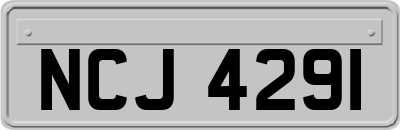 NCJ4291