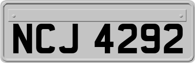 NCJ4292