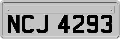 NCJ4293