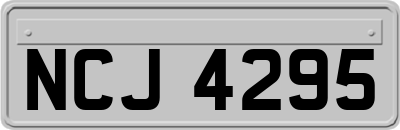 NCJ4295