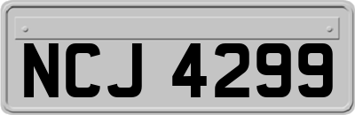NCJ4299