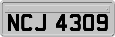NCJ4309