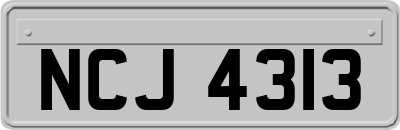 NCJ4313