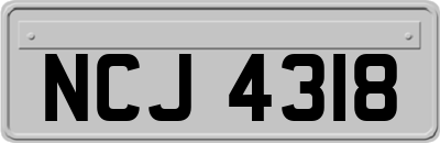 NCJ4318