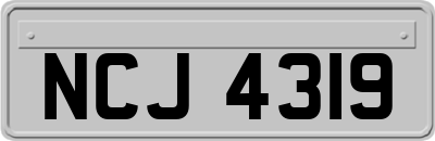 NCJ4319