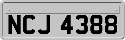 NCJ4388